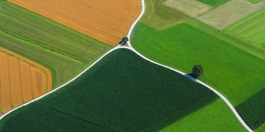 Зображення1